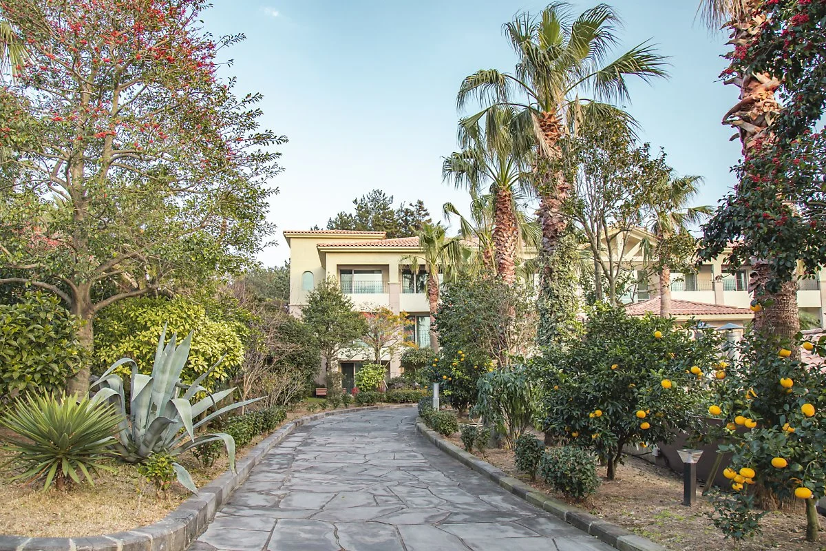 %EC%82%B0%EC%B1%85%EB%A1%9C_%281%29.jpg?type=w1200