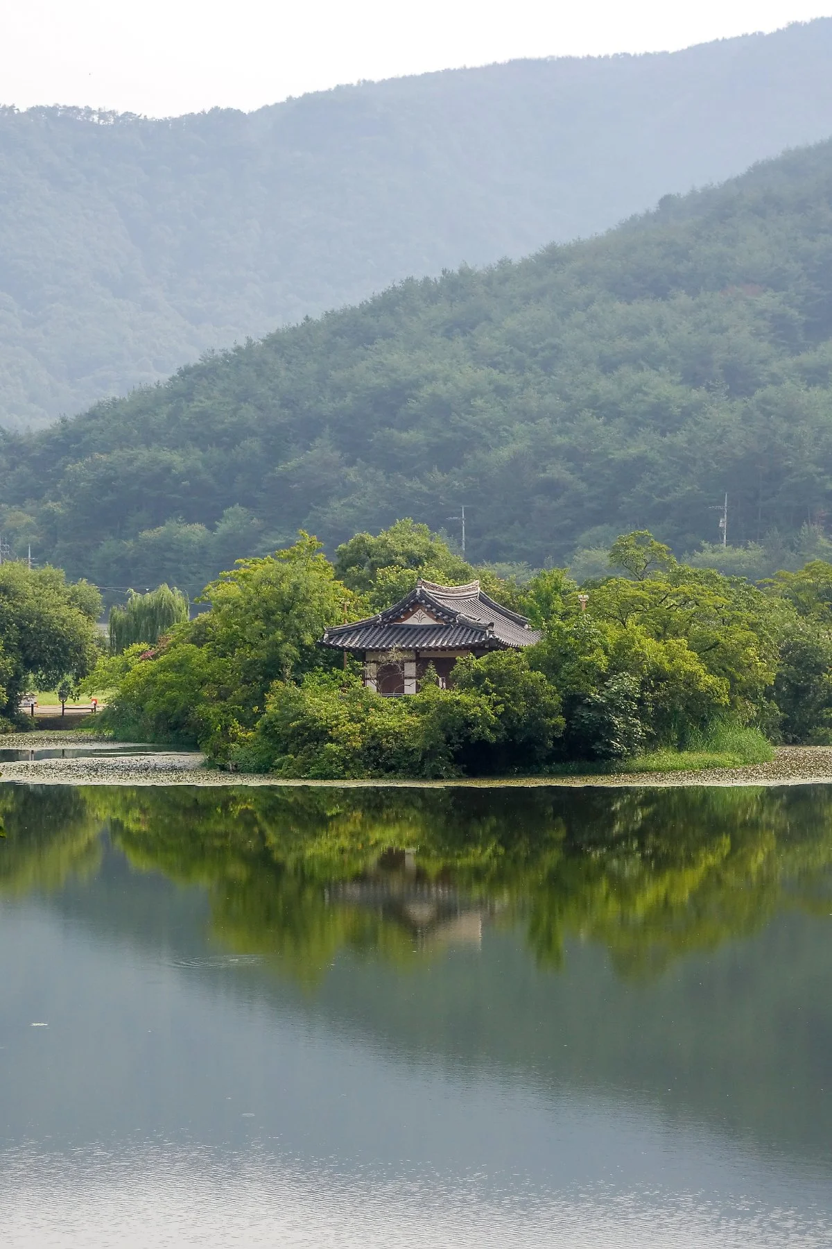 %EC%9C%84%EC%96%91%EC%A7%80_%EC%99%84%EC%9E%AC%EC%A0%95.jpg?type=w1200