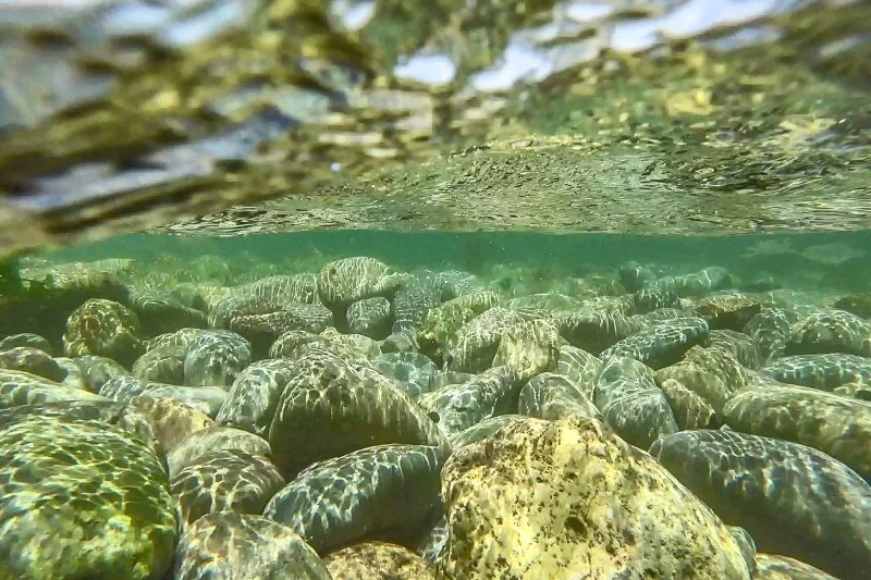 %EC%8A%A4%EB%85%B8%EC%BF%A8%EB%A7%81.jpg?type=w1200