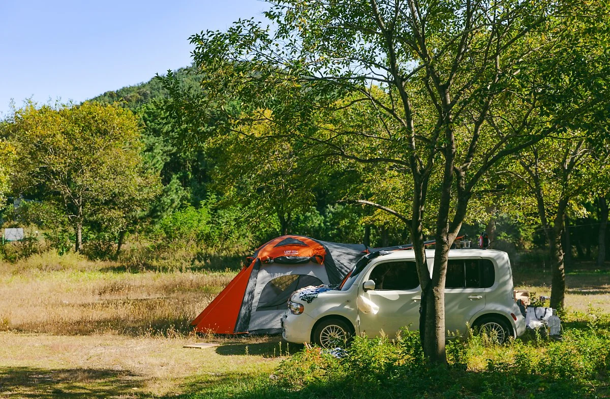 %EB%8C%80%EB%B9%88%EC%B0%BD%ED%95%B4%EB%B3%80_%EC%BA%A0%ED%95%91.jpg?type=w1200