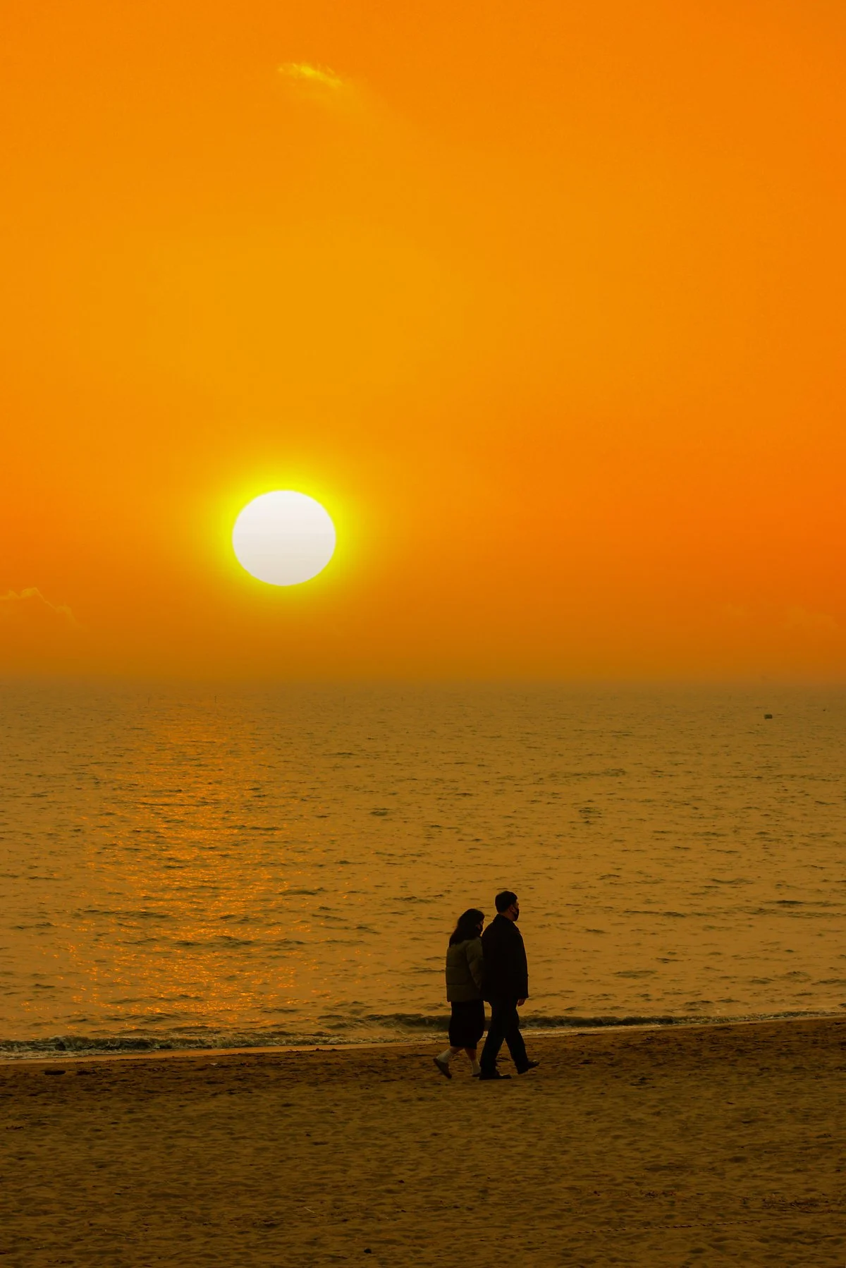 %EB%8F%84%EB%B9%84%EB%9D%BC-%EB%8F%99%EB%A7%89%ED%95%B4%EB%B3%80.jpg?type=w1200