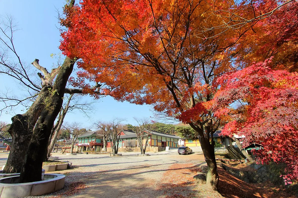 %EC%9A%A9%EC%A3%BC%EC%82%AC_%283%29.JPG?type=w1200