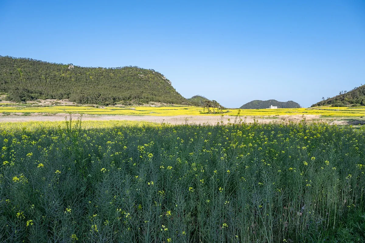 %EC%9E%A5%EC%82%AC%ED%8E%B8%EB%A7%88%EC%9D%84_%281%29.jpg?type=w1200