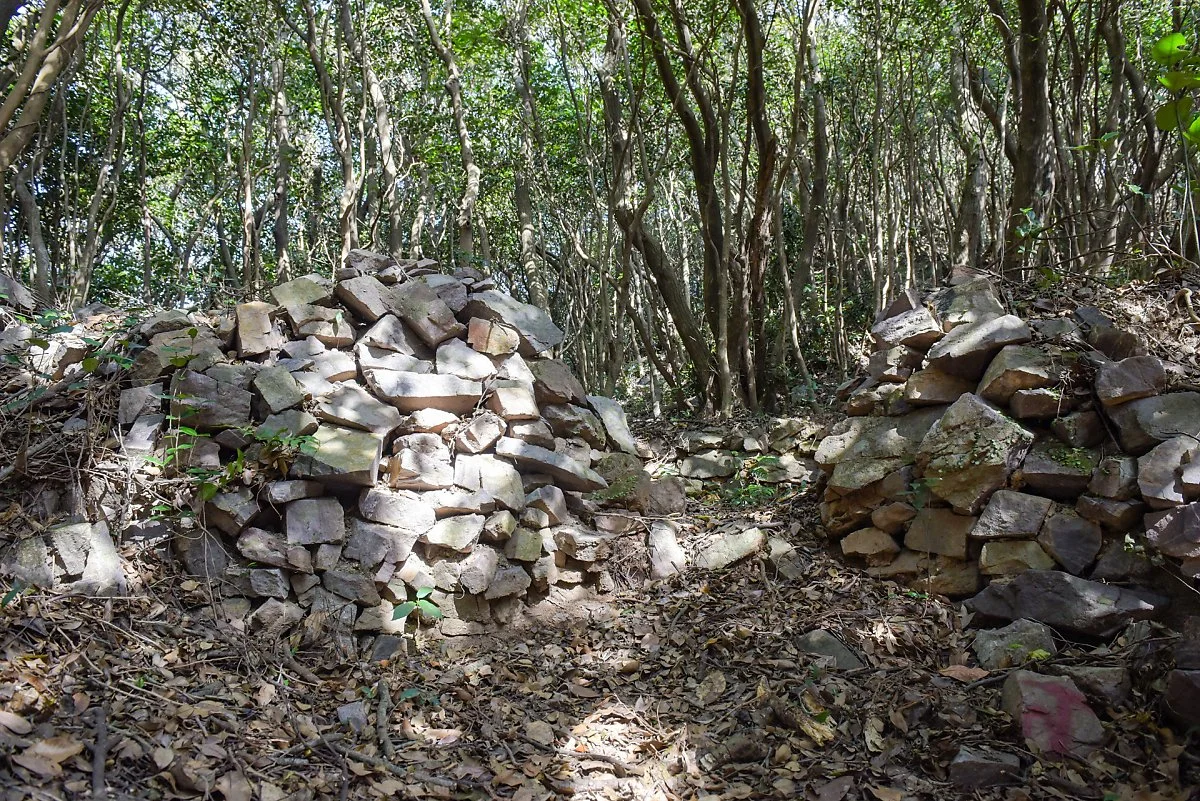 %ED%99%8D%EB%8F%84_%2841%29%EC%88%AF%EA%B0%80%EB%A7%88%ED%84%B0.jpg?type=w1200