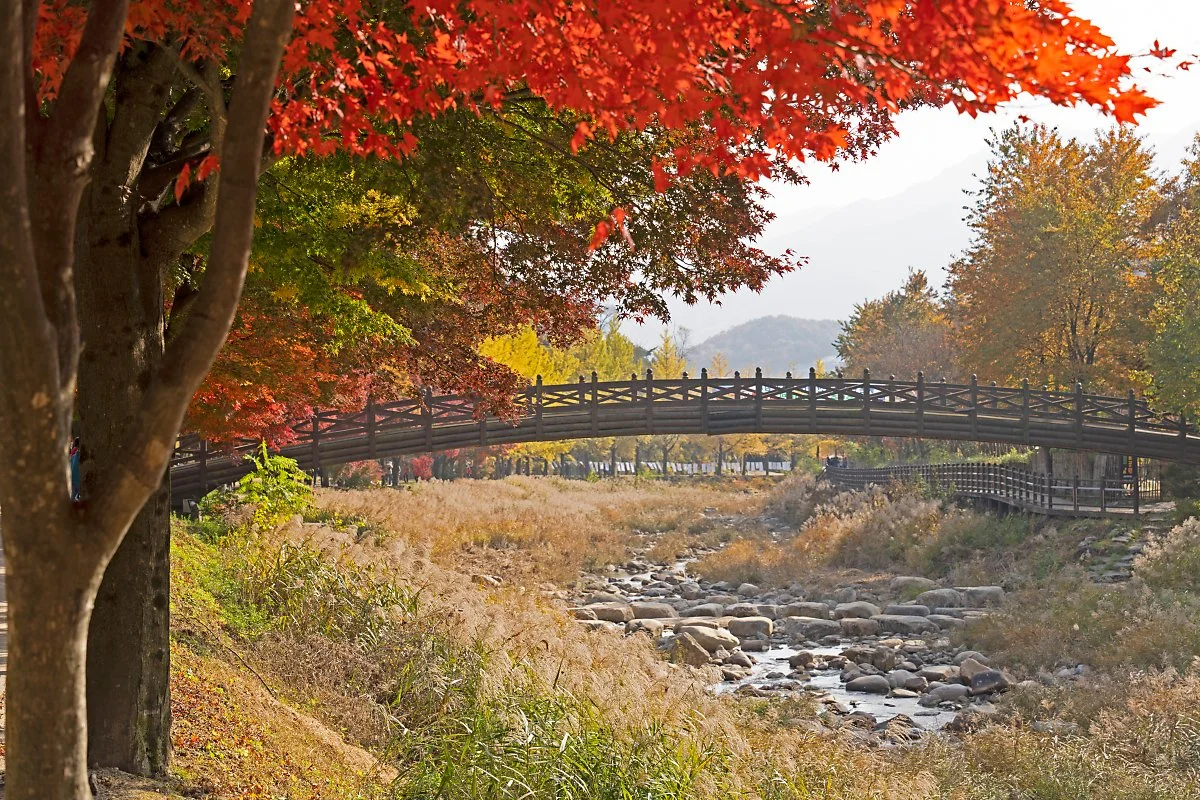 %EC%82%AC%EC%A7%846_%EC%B4%88%EA%B3%A1%EC%B2%9C.jpg?type=w1200