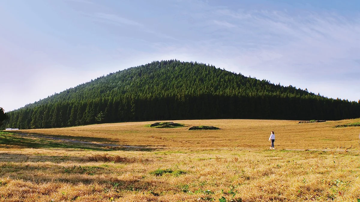 %ED%8F%AC%EB%A7%B7%EB%B3%80%ED%99%98%EA%B0%80%EC%8B%9C%EB%A6%AC.jpg?type=w1200