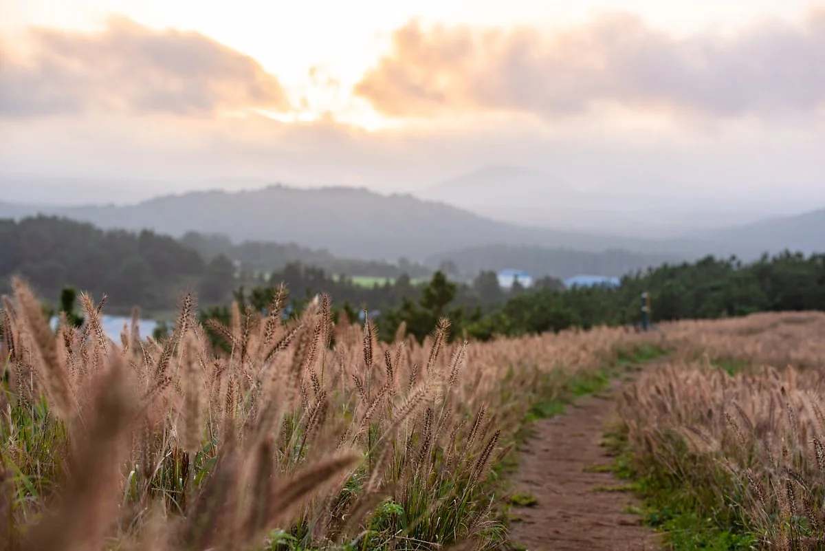 %EC%95%84%EB%B6%80%EC%98%A4%EB%A6%84_002.jpg?type=w1200