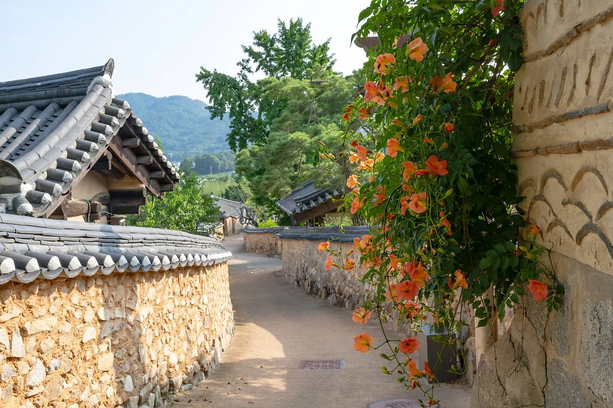 %ED%95%9C%EA%B0%9C%EB%A7%88%EC%9D%84_%2820%29.jpg?type=w1200