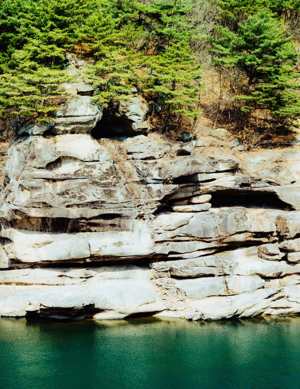 %EC%B2%A0%EC%9B%90-1-8.jpg?type=w966