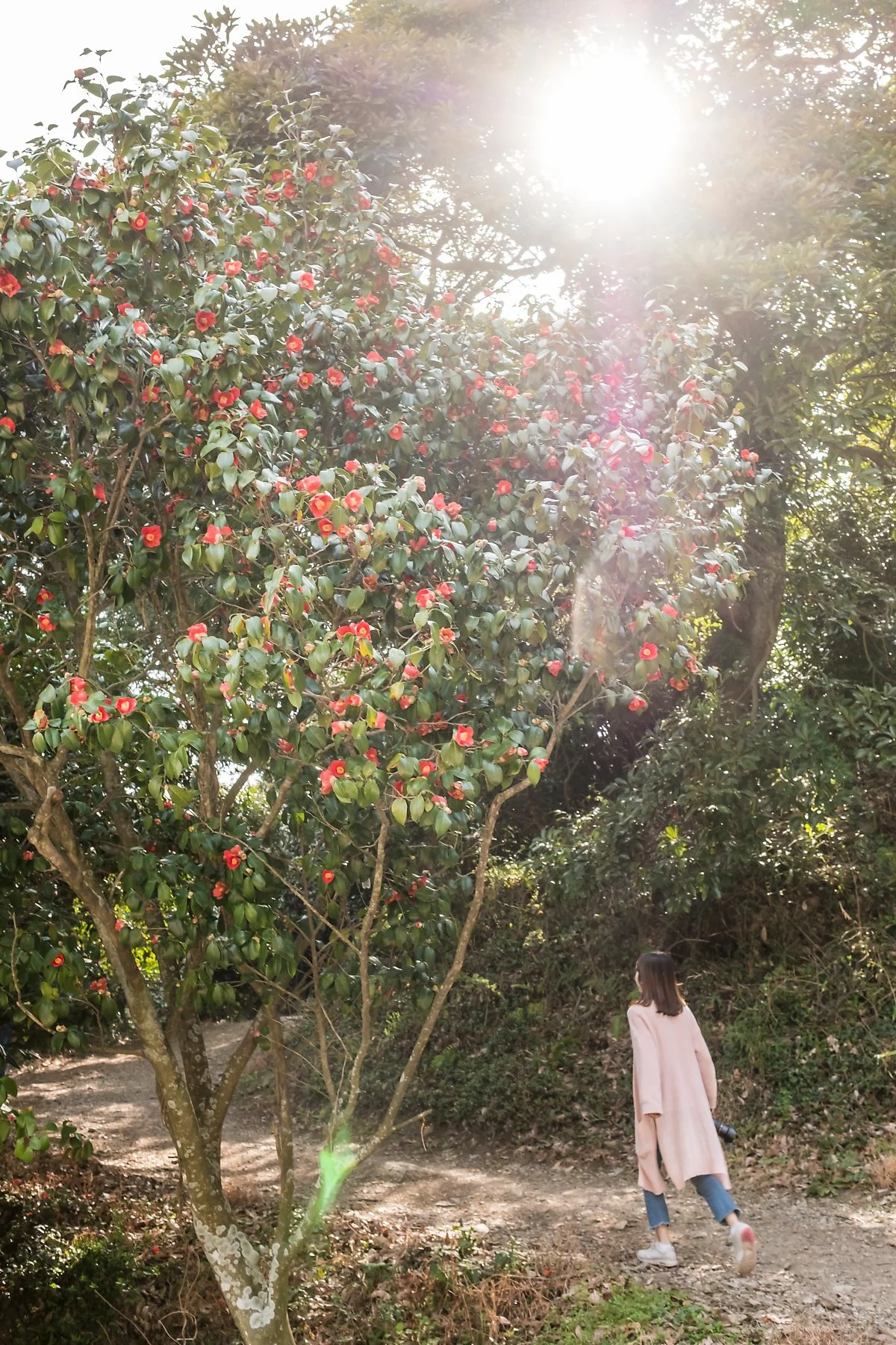 %EB%B0%B1%EB%A0%A8%EC%82%AC_3.jpg?type=w1200