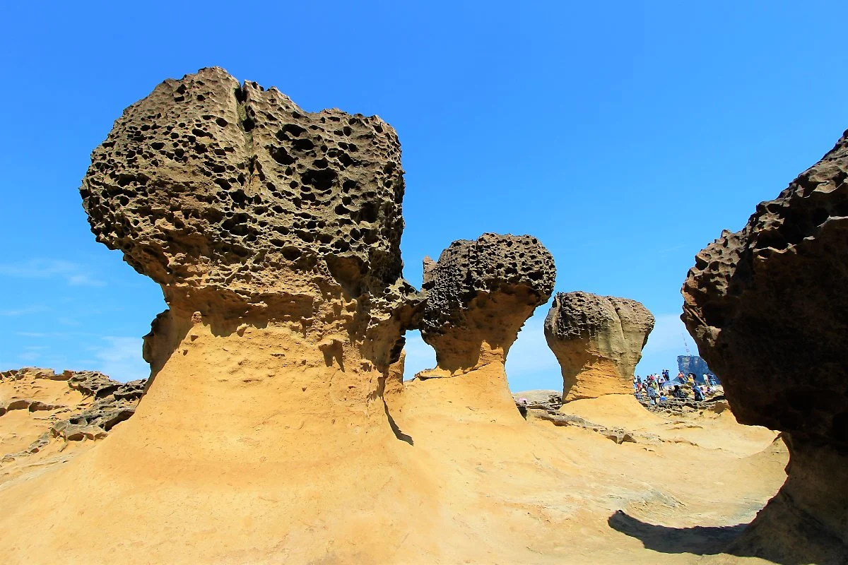 01%EC%98%88%EB%A6%AC%EC%9A%B0_%EB%B2%84%EC%84%AF%EB%B0%94%EC%9C%84.JPG?type=w1200