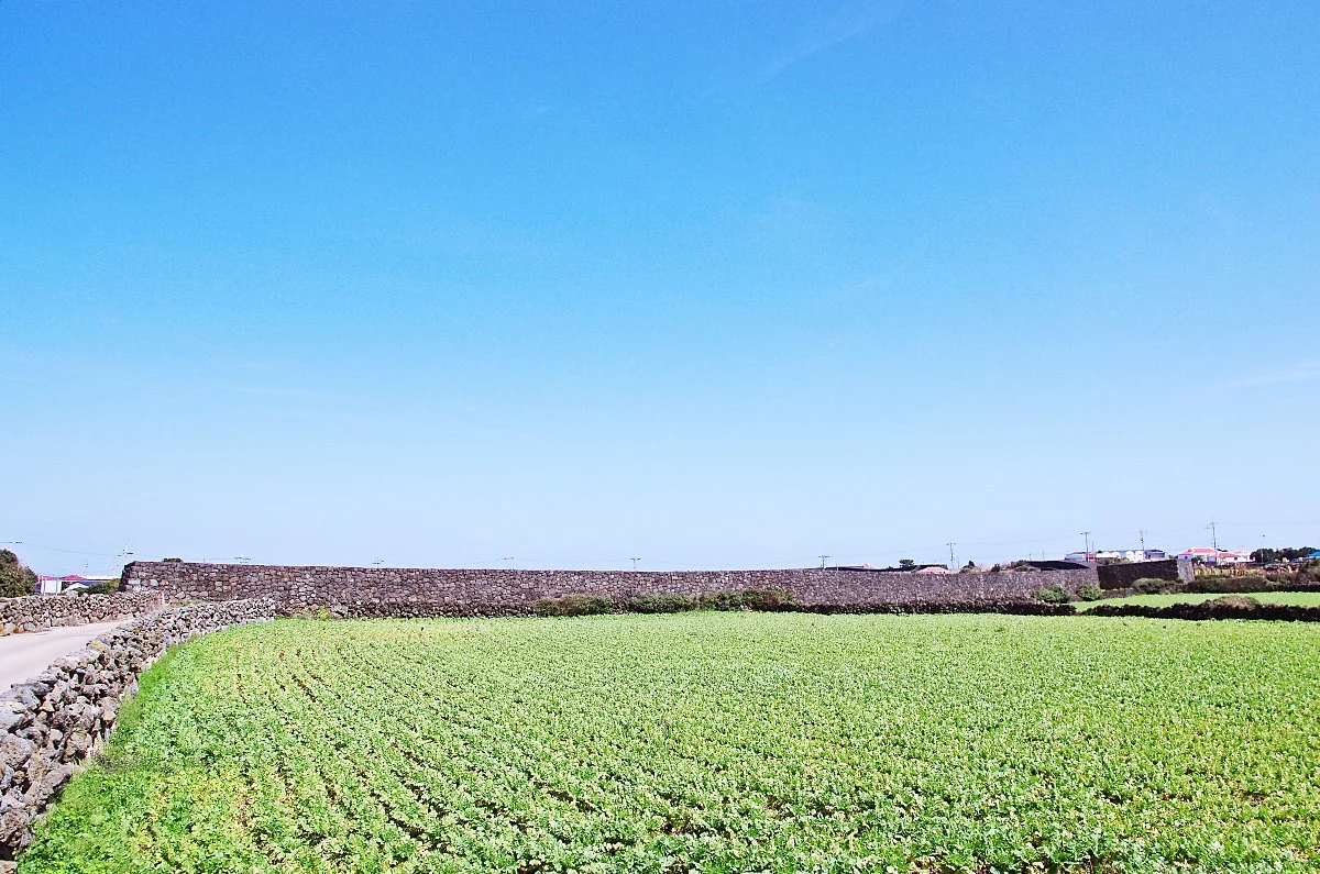 %EB%B3%84%EB%B0%A9%EC%A7%84_%EC%84%B1%EA%B3%BD.JPG?type=w1200