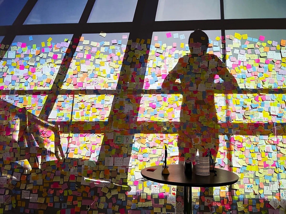 %EB%94%9C%EB%9D%BC%EC%9D%B4%ED%8A%B8%EB%8B%B4%EC%96%91_%EC%A0%95%EC%9D%80%EC%A3%BC_%2812%29.JPG?type=w1200