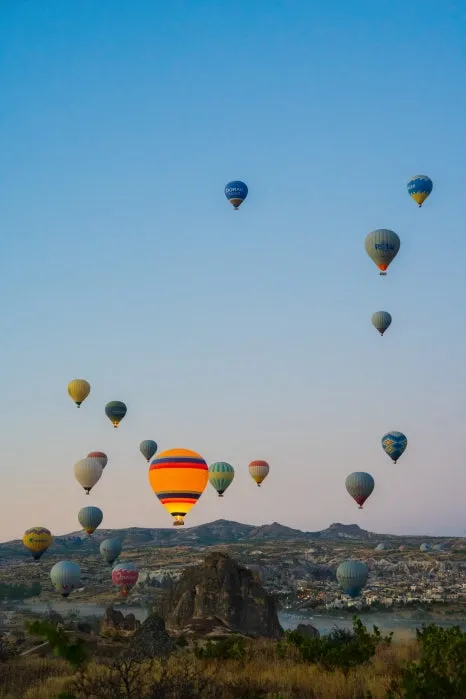 %EB%B2%8C%EB%A3%AC_%EC%84%A0%EB%9D%BC%EC%9D%B4%EC%A6%88_(11).jpg?type=w466