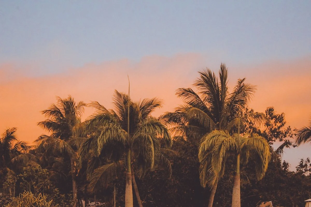 %EB%A6%AC%EC%A1%B0%ED%8A%B8_%2820%29.jpg?type=w1200