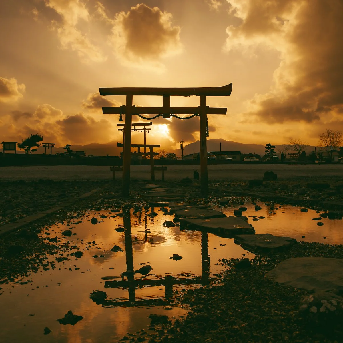 tara%282%29.jpg?type=w1200