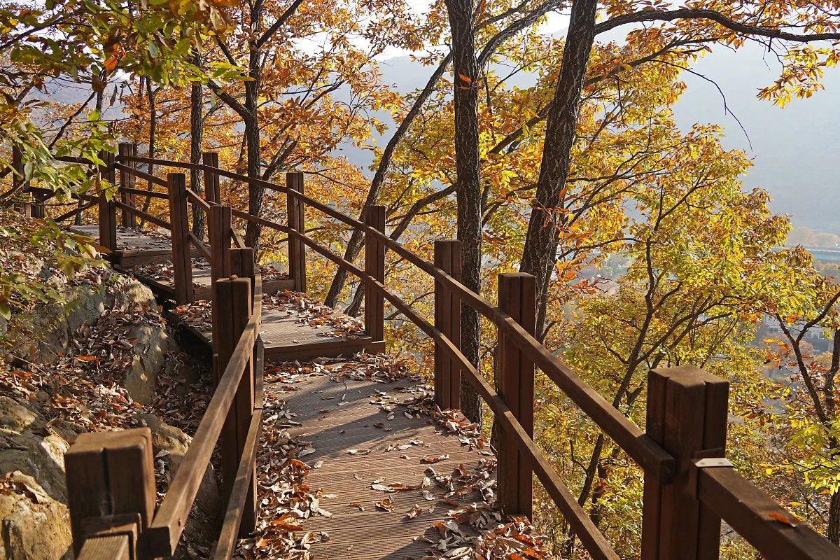 %EC%82%AC%EC%A7%843_%ED%86%A0%EB%81%BC%EB%B9%84%EB%A6%AC.JPG?type=w1200