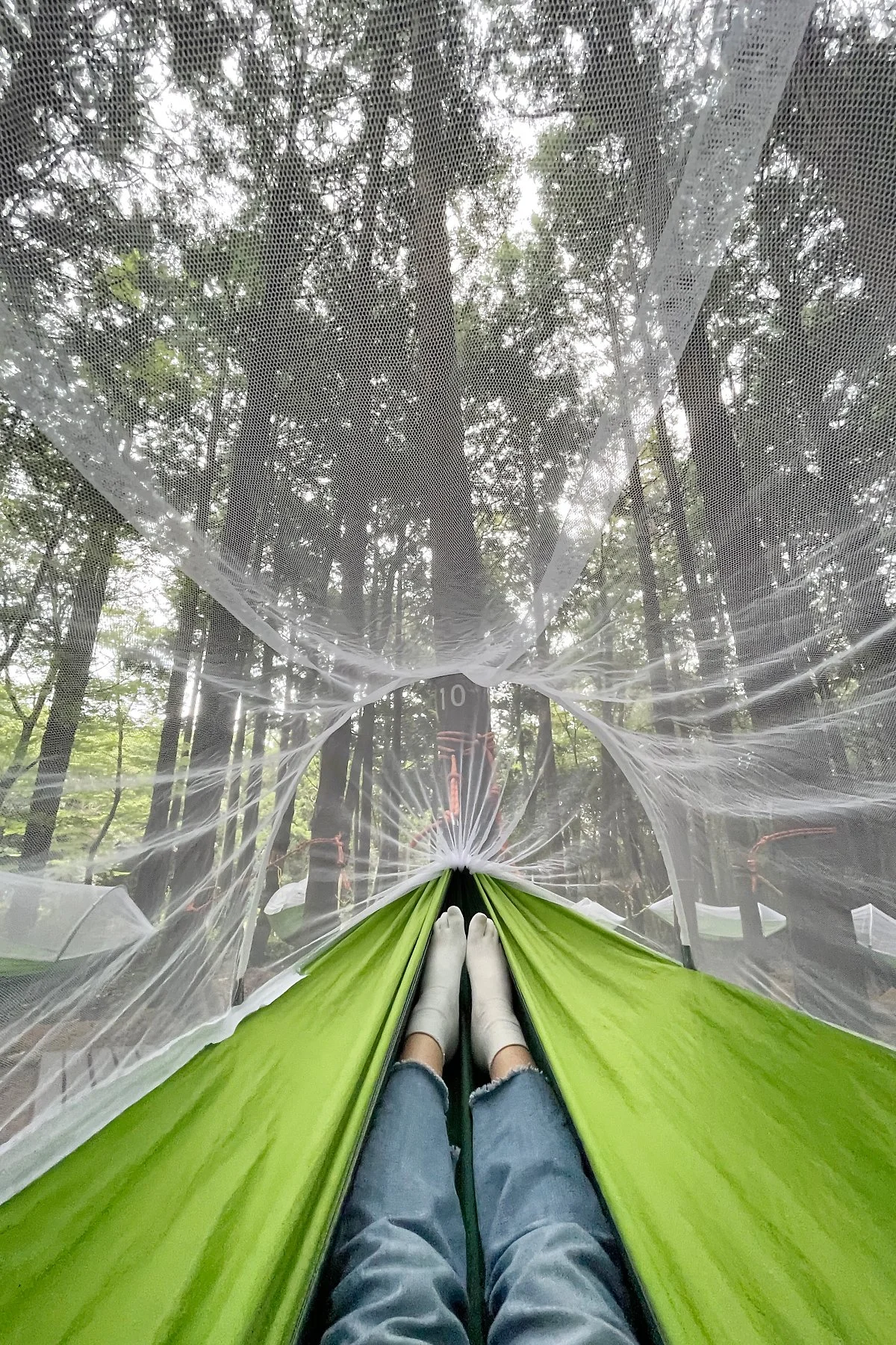 %EC%84%9C%EA%B7%80%ED%8F%AC%EC%B9%98%EC%9C%A0%EC%9D%98%EC%88%B2_%2842%29.JPG?type=w1200