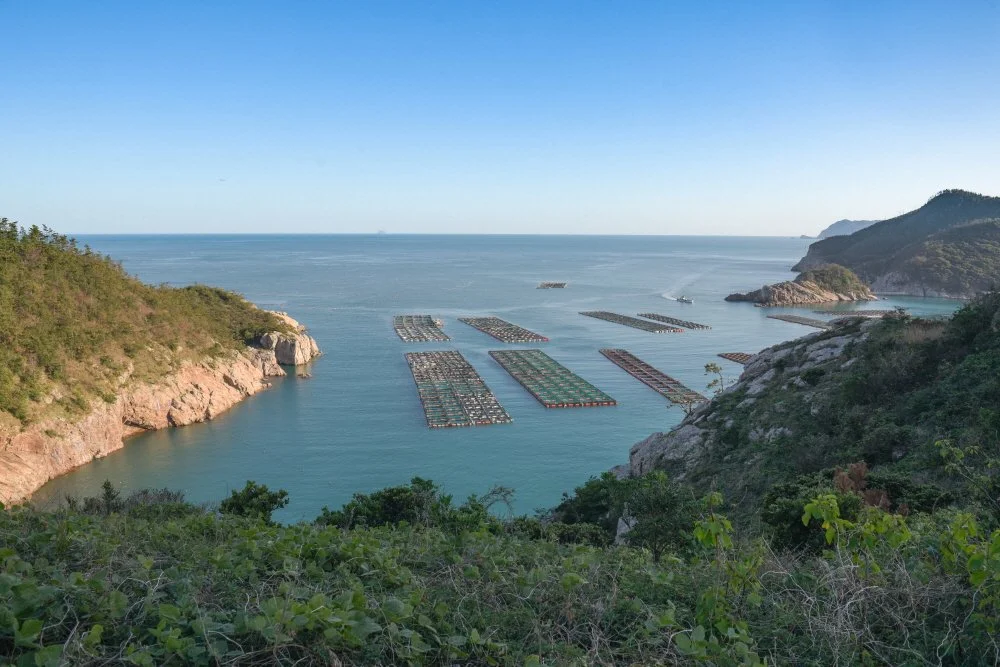 %ED%81%AC%EA%B8%B0%EB%B3%80%ED%99%98%EB%8C%80%EB%91%94%EB%8F%84_%EA%B3%A0%EA%B0%9C%EC%97%90%EC%84%9C_%EB%B0%94%EB%9D%BC%EB%B3%B8_%EB%8C%80%EB%91%94%EB%8F%84_%EC%98%A4%EB%A6%AC%EC%95%9E%EB%B0%94%EB%8B%A4.JPG?type=w1200