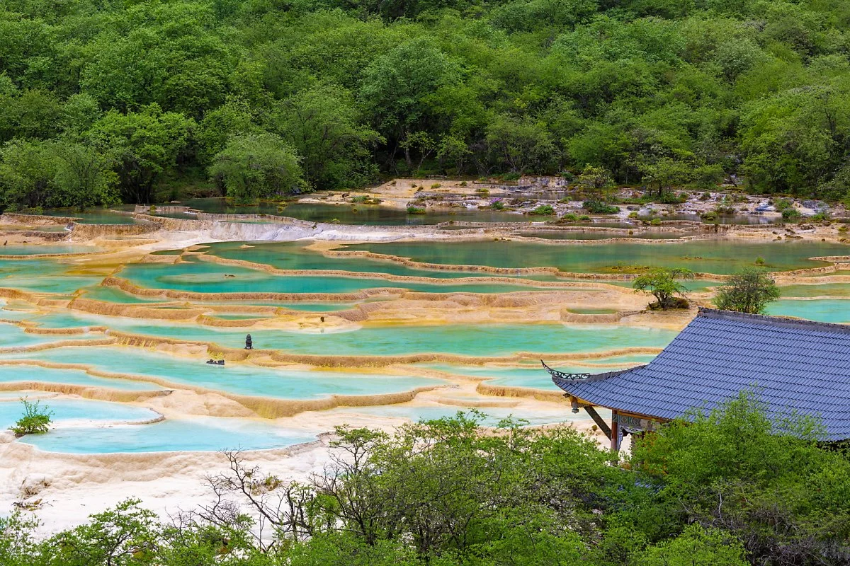 %ED%99%A9%EB%A3%A1_%EC%B9%B4%EB%A5%B4%EC%8A%A4%ED%8A%B8_%EC%A7%80%ED%98%95%EA%B3%BC_%EC%98%A4%EC%B1%84%EC%A7%80%EC%9D%98_%EB%AC%BC%EB%B9%9B_%287%29.jpg?type=w1200