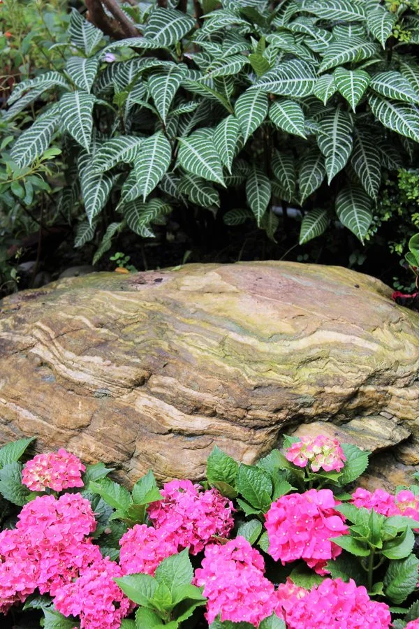 001-3.jpg?type=w1200