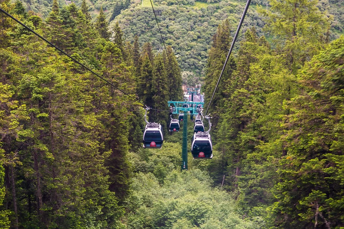 %ED%99%A9%EB%A3%A1%EC%97%90_%EC%98%A4%EB%A5%B4%EB%8A%94_%EC%BC%80%EC%9D%B4%EB%B8%94%EC%B9%B4.jpg?type=w1200