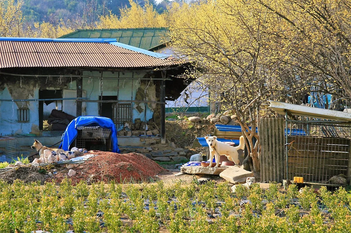 01%EC%9D%B4%EC%B2%9C%EC%82%B0%EC%88%98%EC%9C%A0%EB%A7%88%EC%9D%84_%281%29.JPG?type=w1200