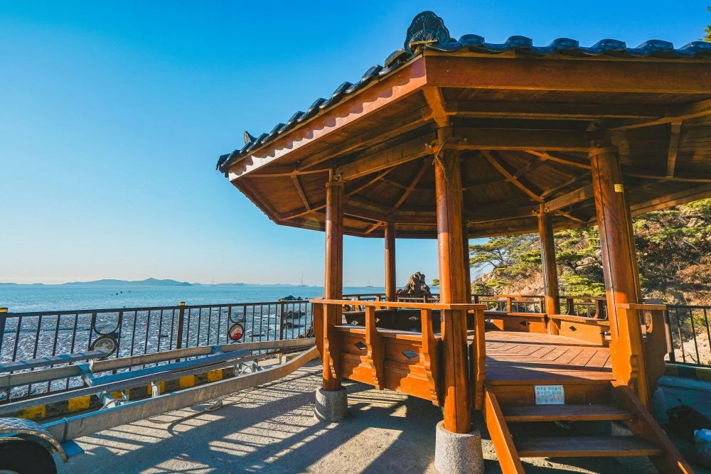 %EC%9E%A5%EA%B5%AC%EB%84%88%EB%A8%B8%ED%95%AD_%284%29.jpg?type=w1200