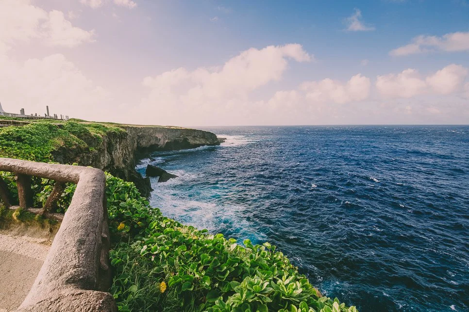 %EC%82%AC%EC%9D%B4%ED%8C%90__Bird_Island_4.jpg?type=w1200