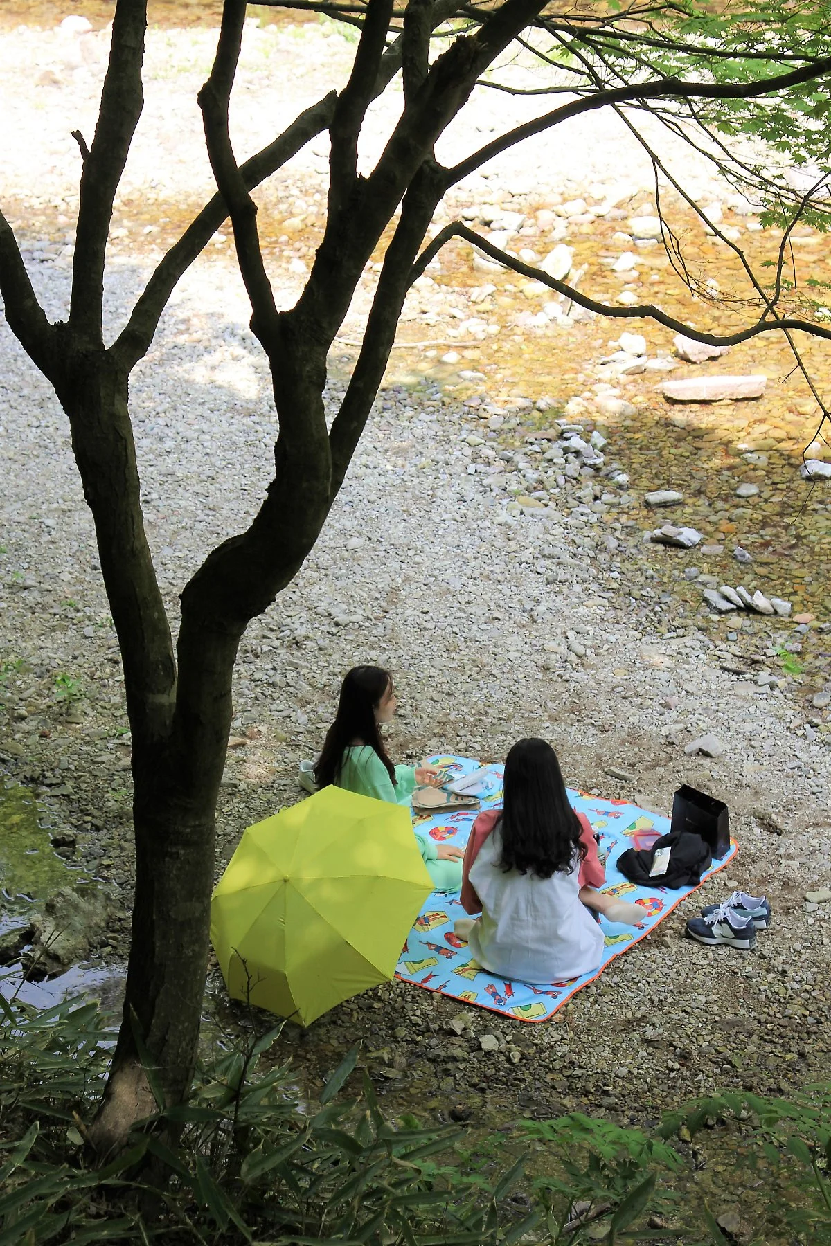 %EA%B0%95%EC%B2%9C%EC%82%B0_%283%29.JPG?type=w1200