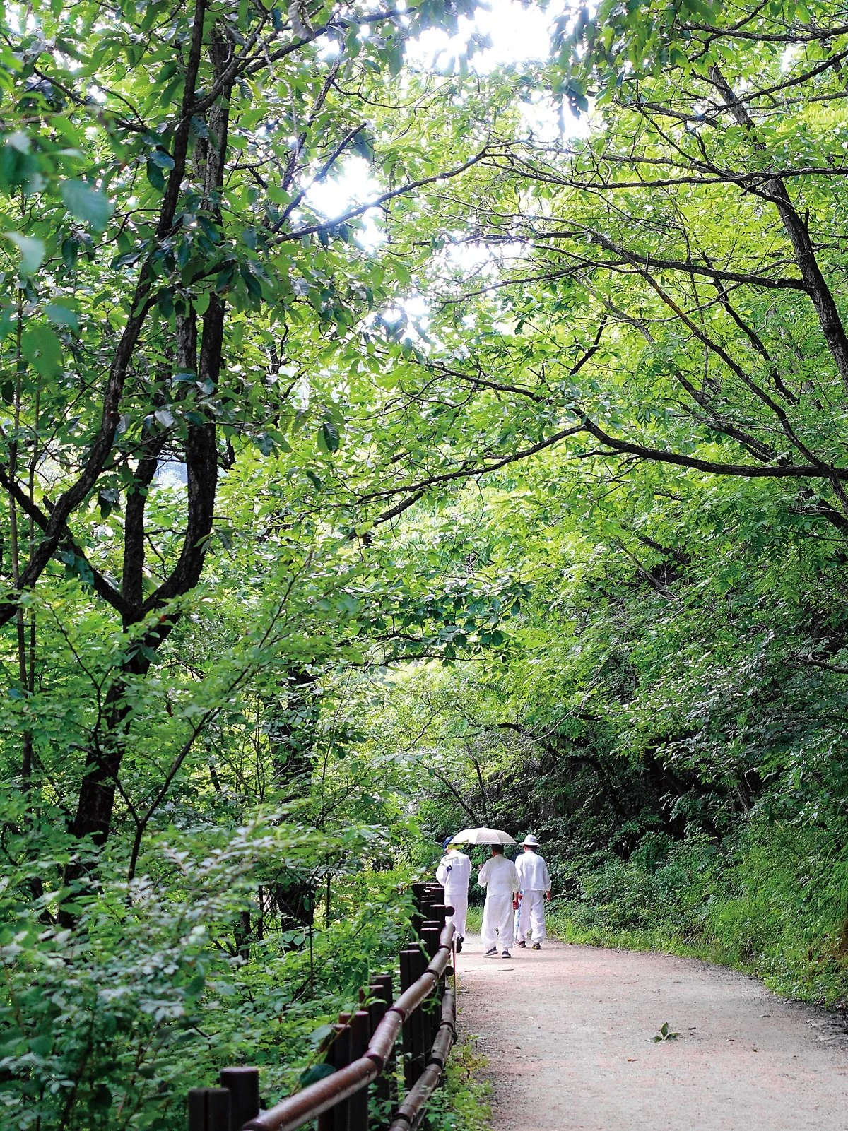 %EC%A3%BC%EC%99%95%EC%82%B0%EA%B5%AD%EB%A6%BD%EA%B3%B5%EC%9B%90%EC%82%B0%EC%B1%85.jpg?type=w1200