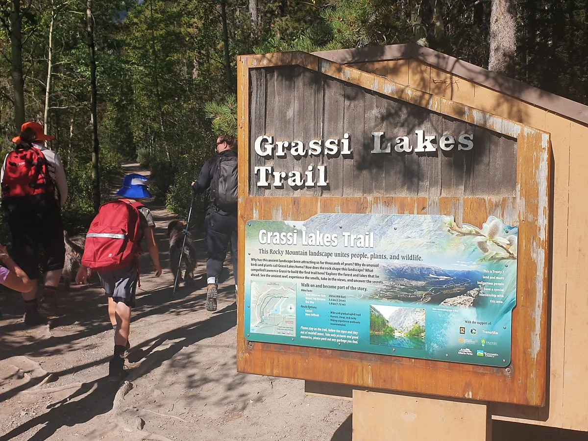 %EC%BA%94%EB%AA%A8%EC%96%B4_%EA%B7%B8%EB%9D%BC%EC%8B%9C_%EB%A0%88%EC%9D%B4%ED%81%AC_%EC%9E%85%EA%B5%AC.jpg?type=w1200