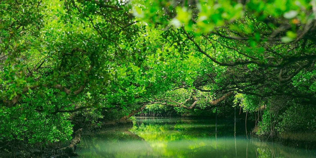 %EC%93%B0%EC%B0%A8%EC%98%A4_%EB%85%B9%EC%83%89_%ED%84%B0%EB%84%90%282%29.jpg?type=w1200