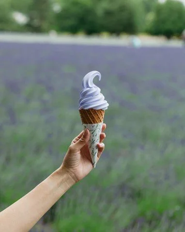 %EA%B7%B8%EB%A6%BC9.jpg?type=w1200