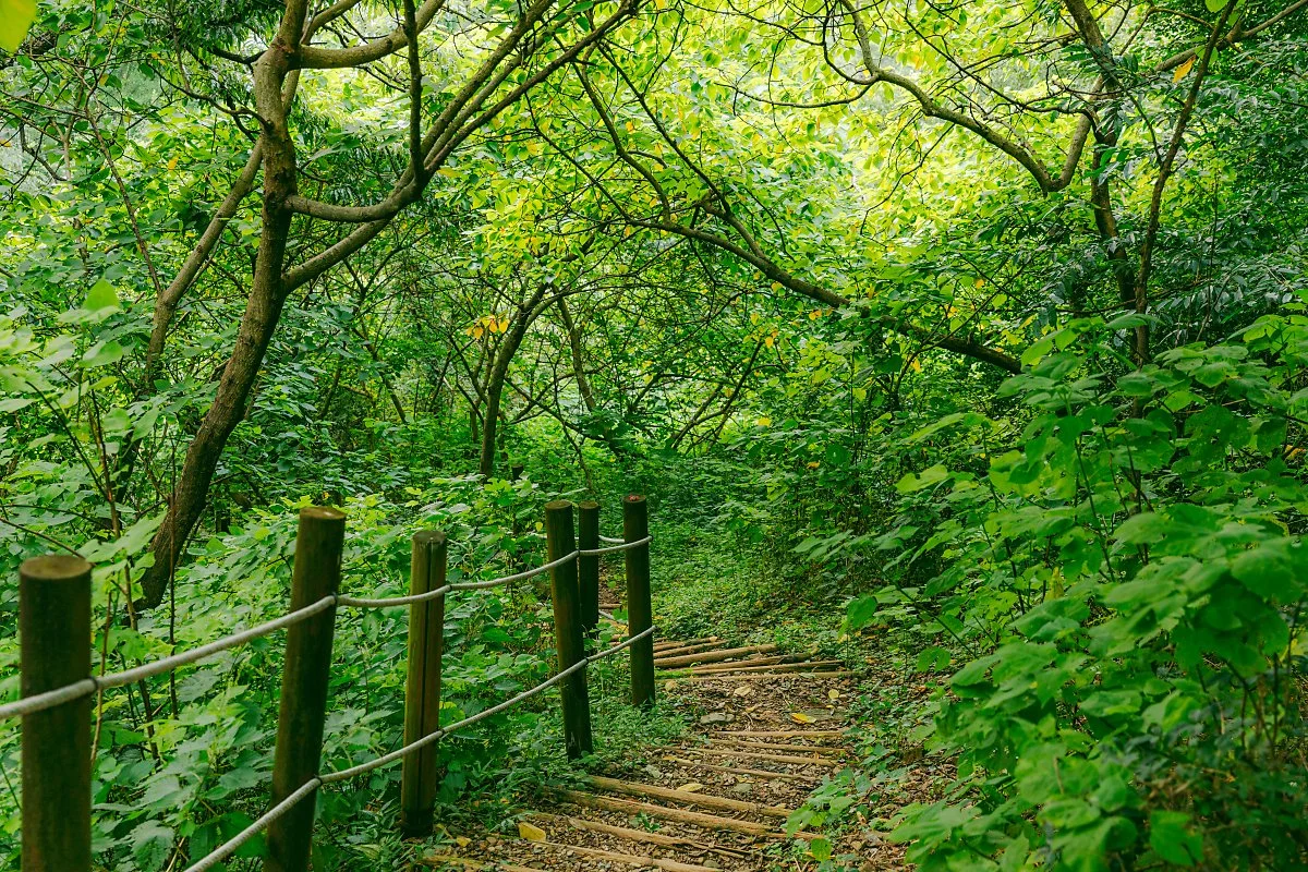 d_%EB%AC%B4%EC%A7%84%EA%B3%A0%EC%84%B1%EC%A7%80_2.jpg?type=w1200