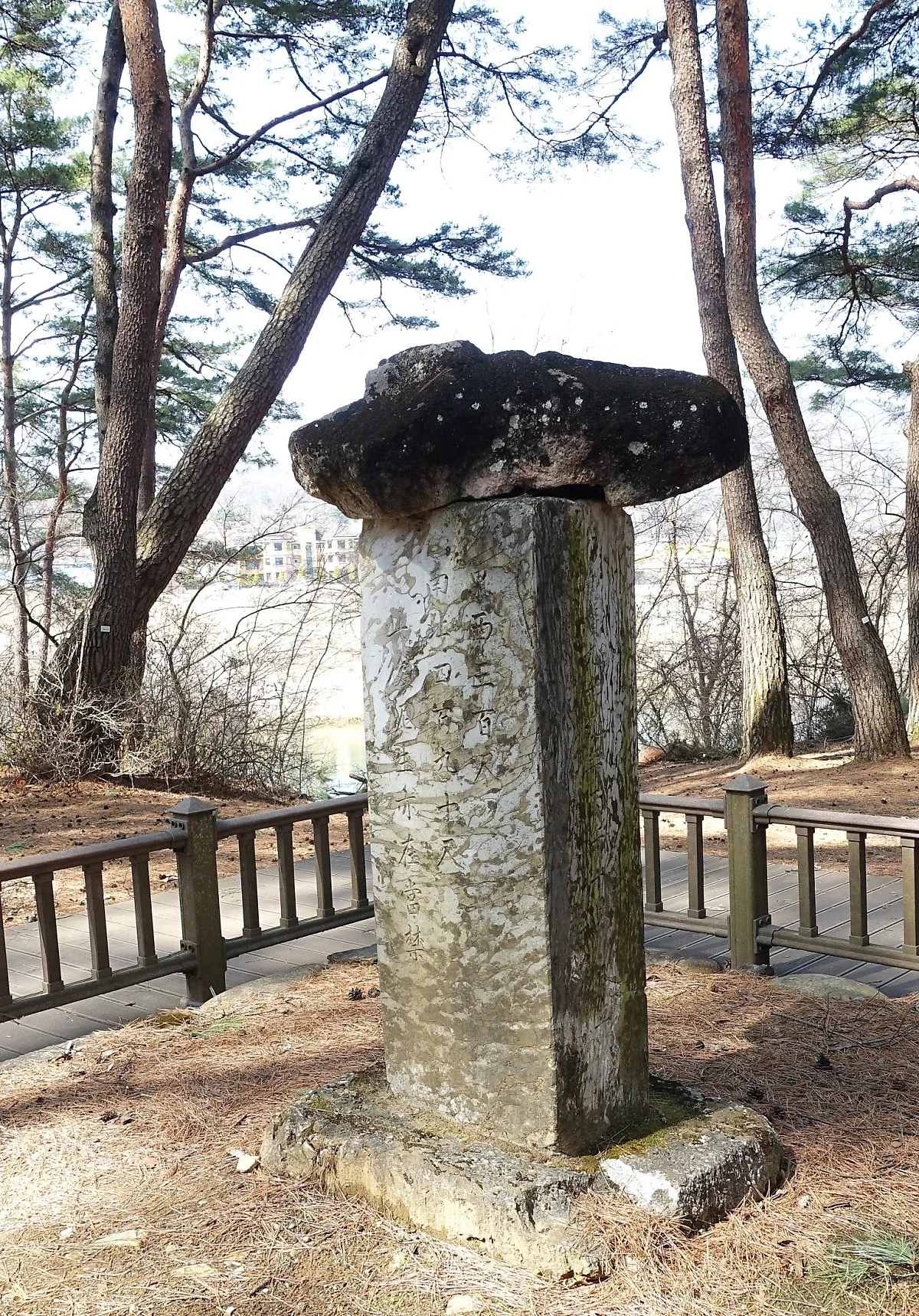 image_2069377541553575754533.jpg?type=w1200