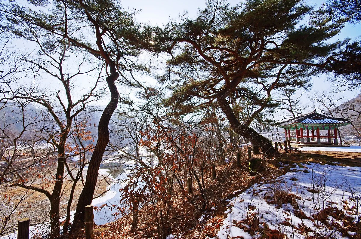 %EC%98%A5%ED%99%949%EA%B2%BD_%EC%A0%9C4%EA%B2%BD_%EC%98%A5%ED%99%94%EB%8C%80%EC%9D%98_%EC%84%B8%EC%8B%AC%EC%A0%95%EA%B3%BC_%EC%86%94%EC%88%B2_%EA%B7%B8%EB%A6%AC%EA%B3%A0_%EC%A0%95%EC%9E%90_%EC%95%9E%EC%9C%BC%EB%A1%9C_%ED%9D%90%EB%A5%B4%EB%8A%94_.JPG?type=w1200