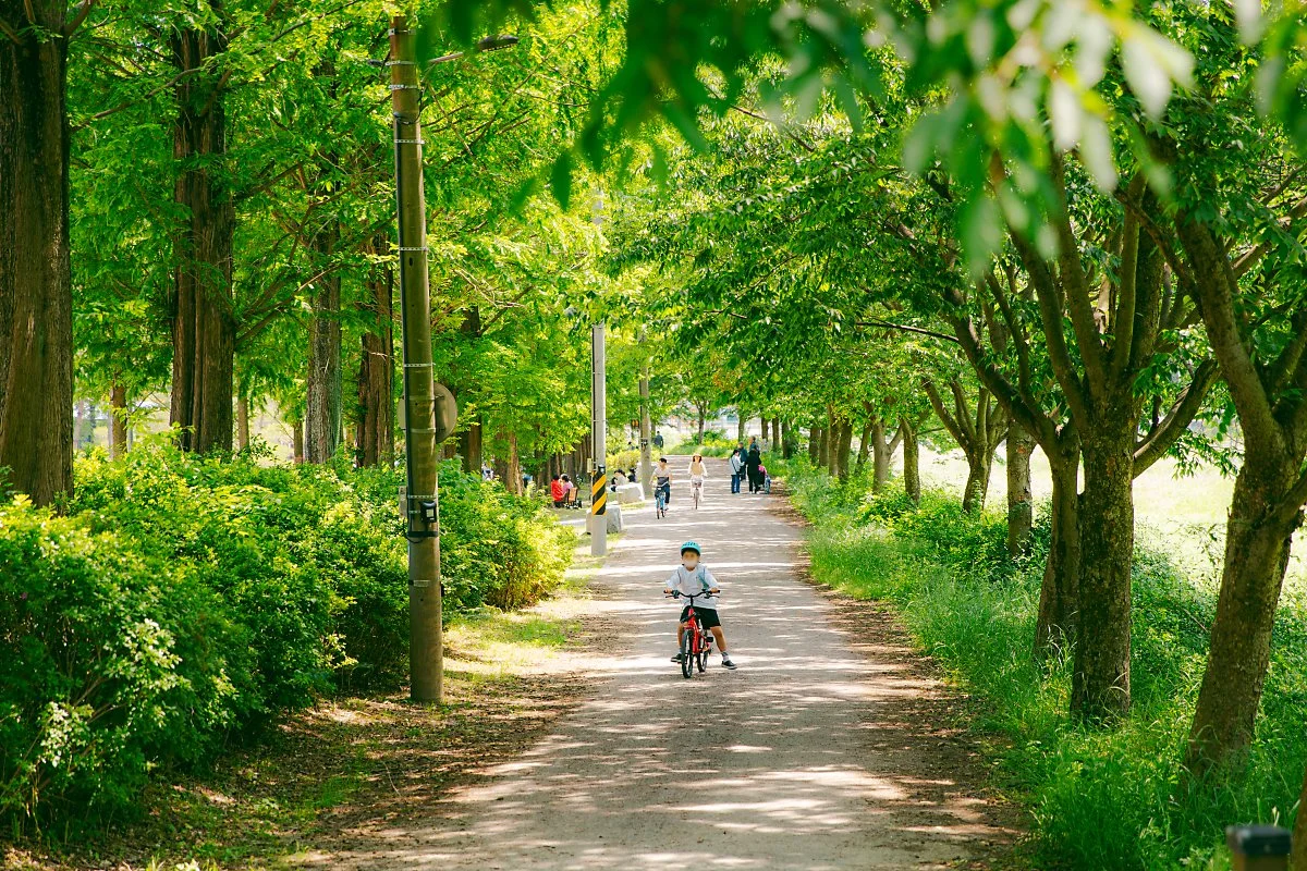 d_%EB%B0%94%EB%9E%8C%EC%90%AC%EB%8A%94%EA%B8%B8_1.jpg?type=w1200