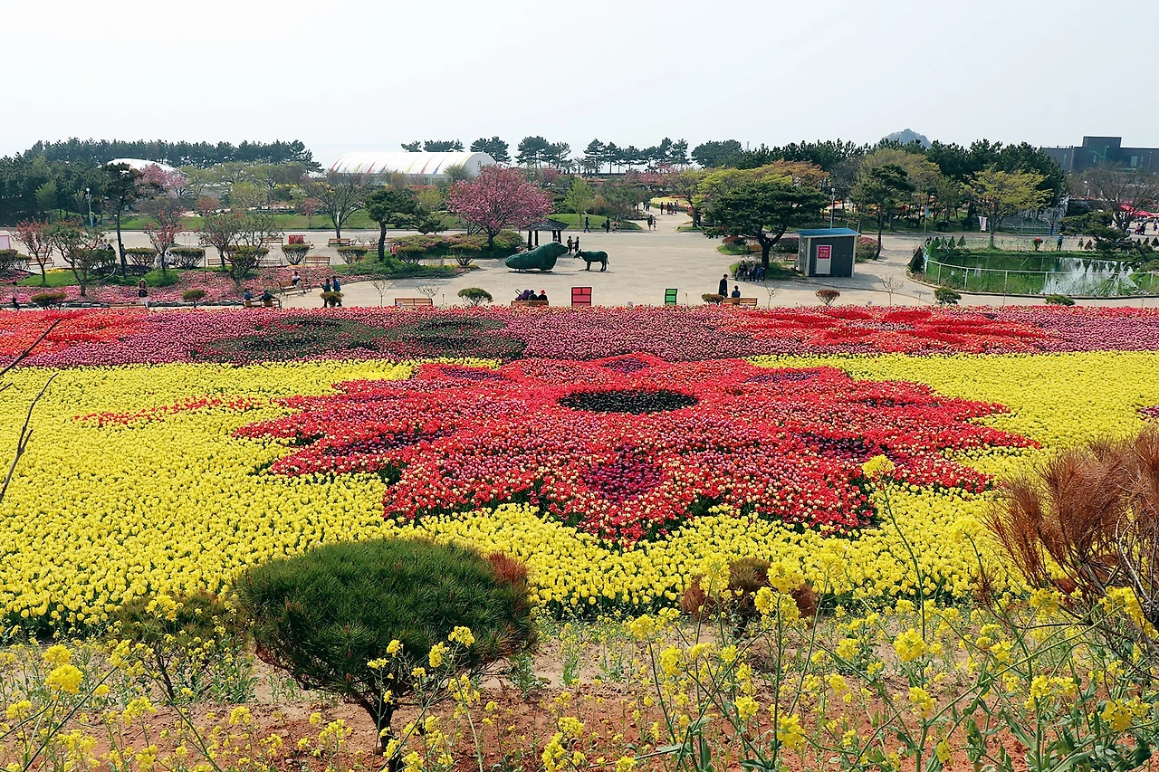 태안튤립축제2.JPG