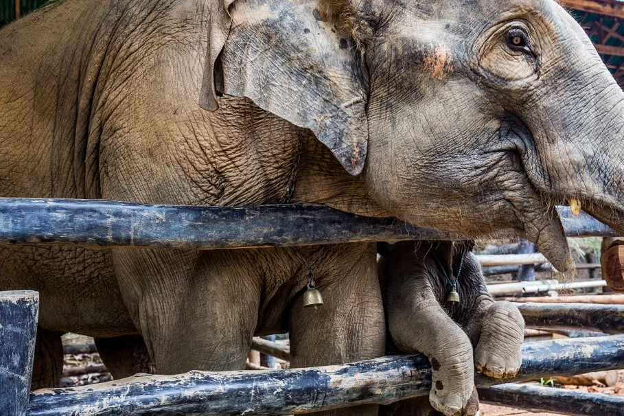 %EC%B9%98%EC%95%99%EB%A7%88%EC%9D%B4-4.jpg?type=w1200