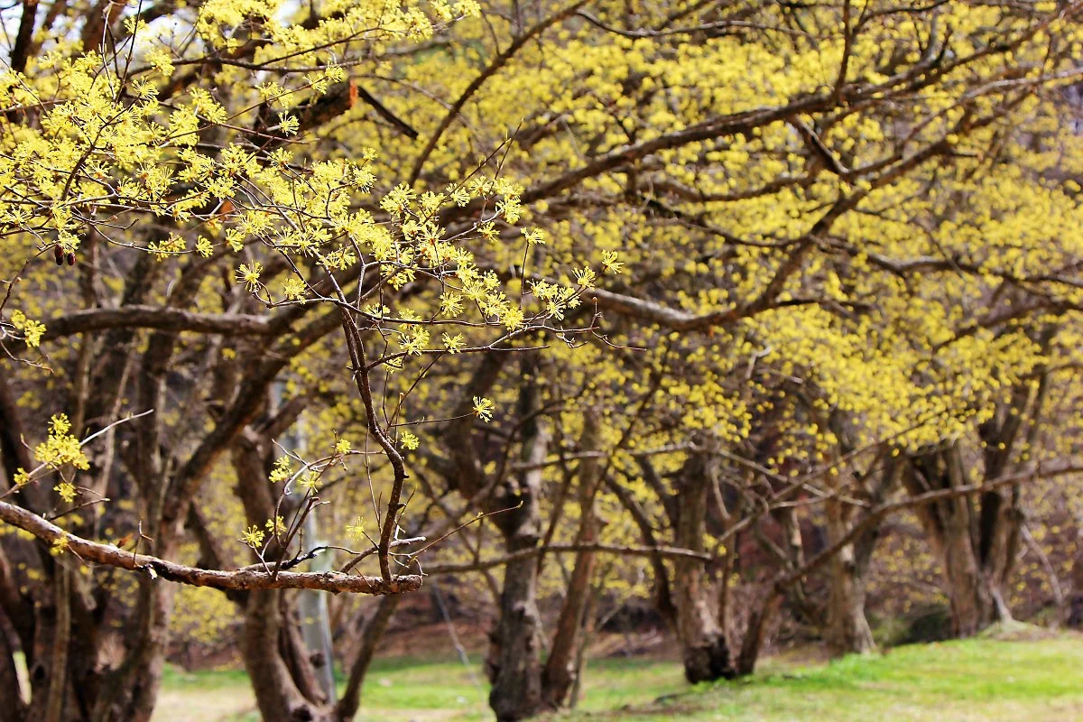 01%EC%9D%B4%EC%B2%9C%EC%82%B0%EC%88%98%EC%9C%A0%EB%A7%88%EC%9D%84_%282%29.JPG?type=w1200