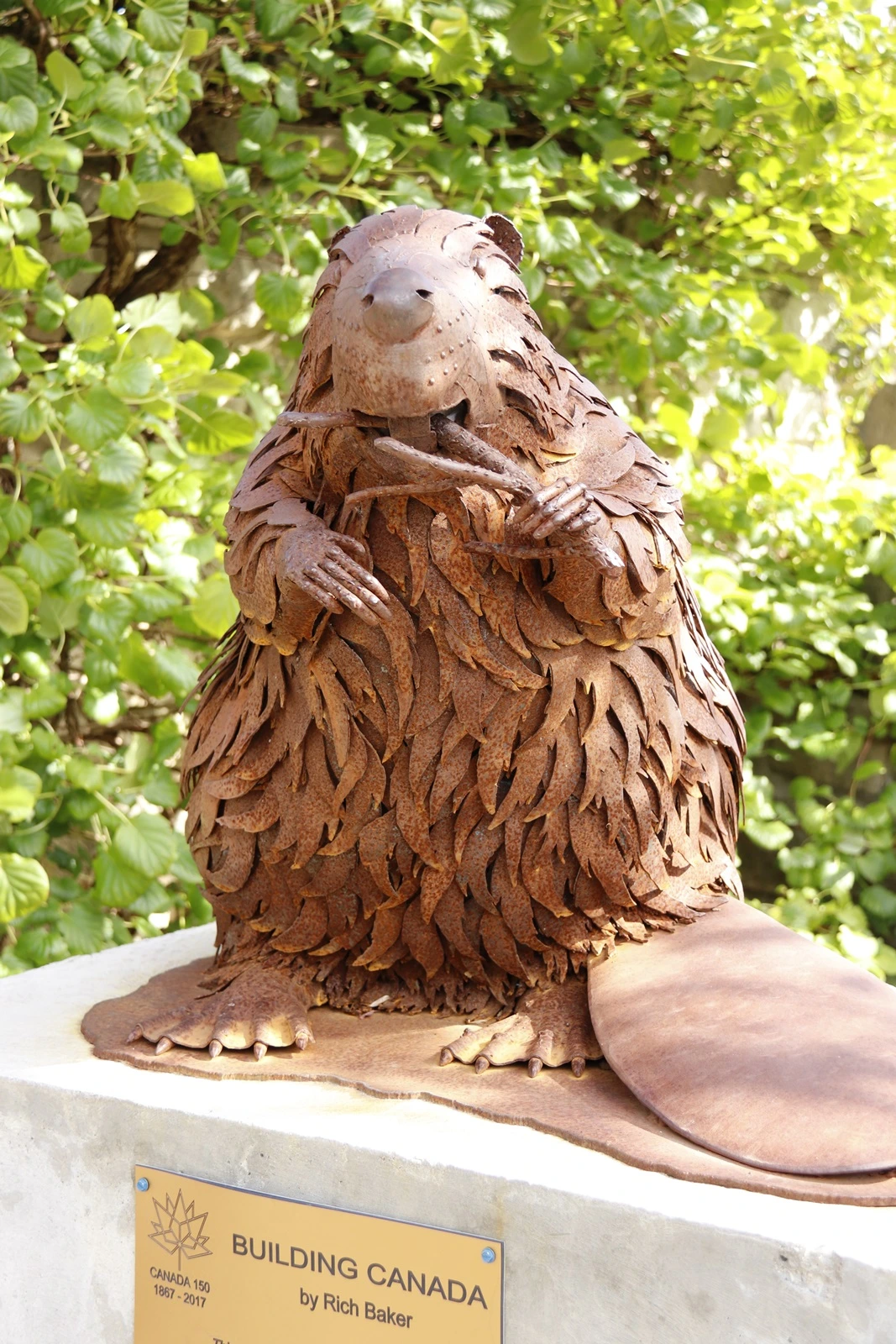 13.Templin Garden 2-FergusJPG.JPG