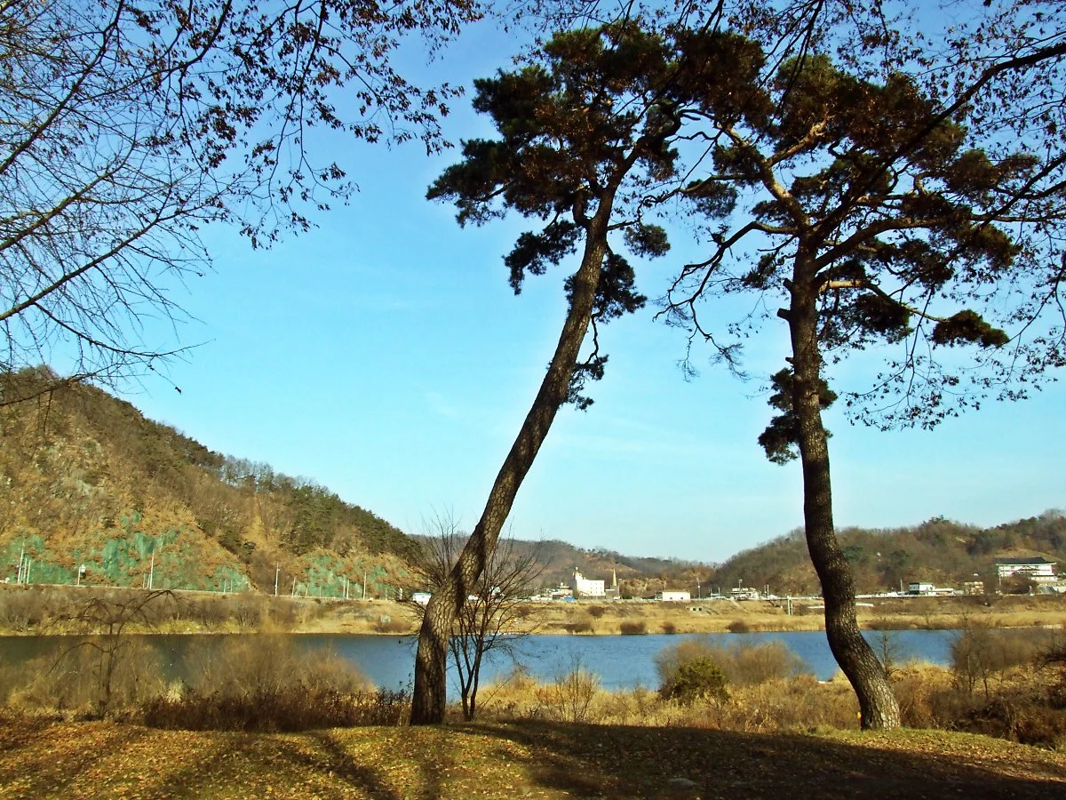 %EB%AA%A9%EA%B3%84%EC%86%94%EB%B0%AD%EC%97%90%EC%84%9C_%EB%B3%B8_%ED%92%8D%EA%B2%BD._%EA%B0%95_%EA%B1%B4%EB%84%88%ED%8E%B8%EC%9D%B4_%EB%AA%A9%EA%B3%84%EB%82%98%EB%A3%A8%EA%B0%80_%EC%9E%88%EC%97%88%EB%8D%98_%EA%B3%B3%EC%9D%B4%EB%8B%A4._%EA%B7%B8.JPG?type=w1200