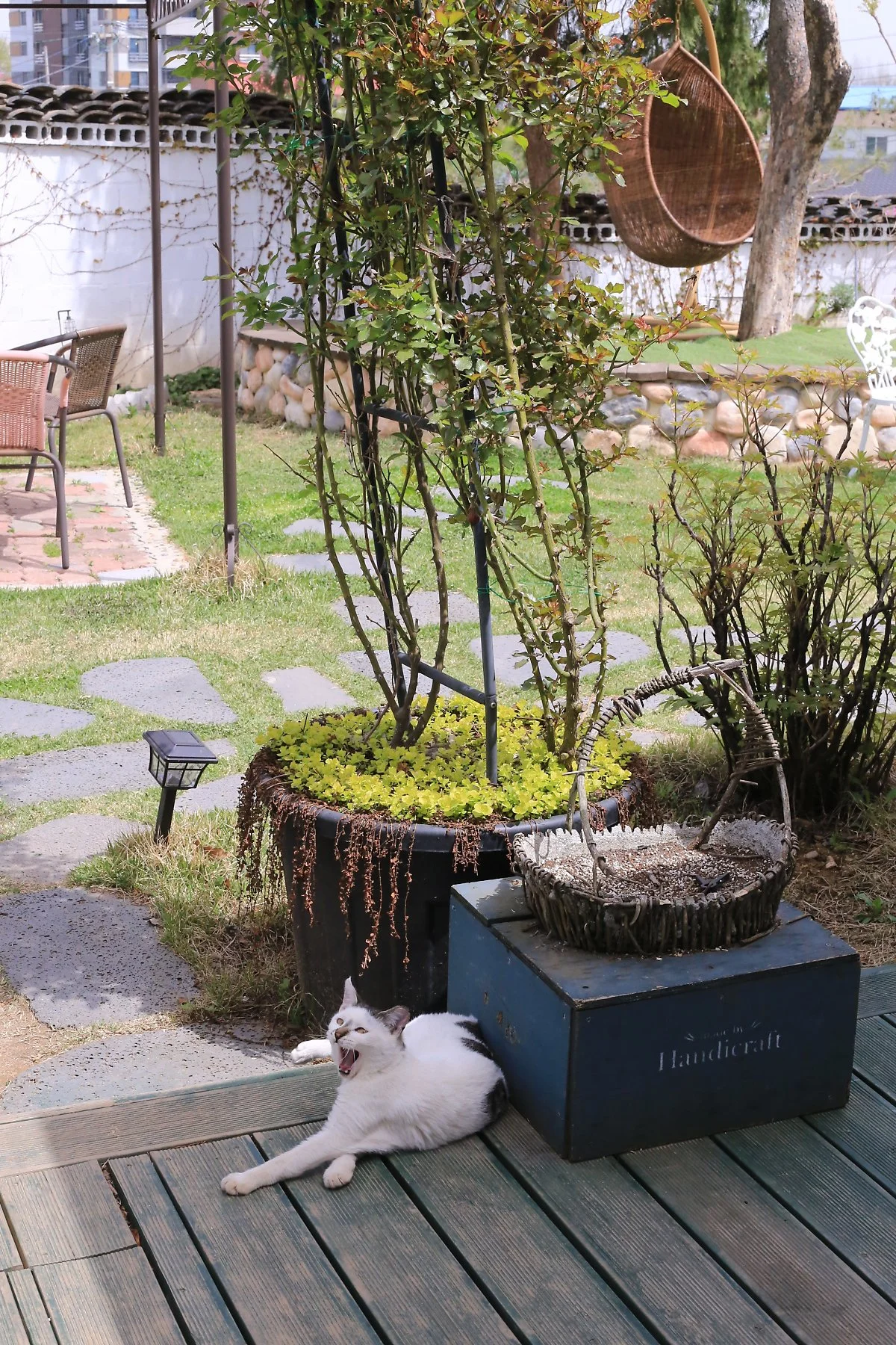 IMG_9912.JPG?type=w1200