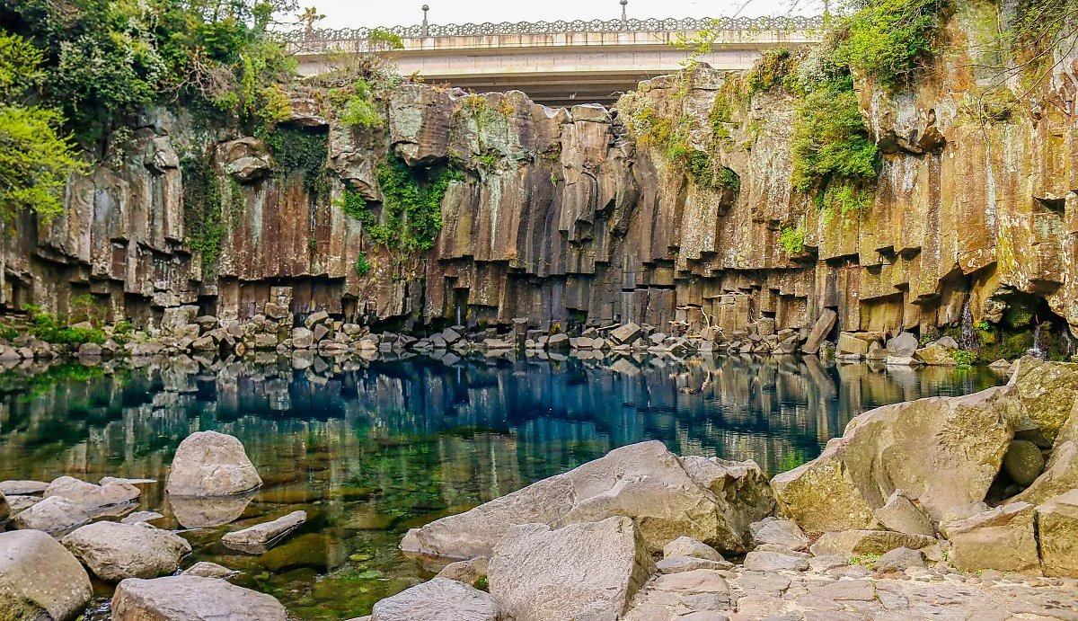 d_%EC%B2%9C%EC%A0%9C%EC%97%AD%ED%8F%AD%ED%8F%AC_1.jpg?type=w1200