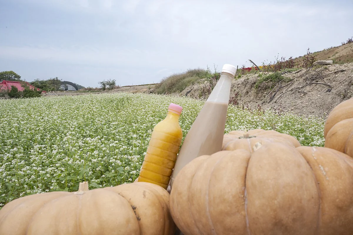 %ED%98%B8%EB%B0%95%EC%8B%9D%ED%98%9C%EC%99%80_%EA%B3%A0%EA%B5%AC%EB%A7%88%EB%A7%89%EA%B1%B8%EB%A6%AC_%281%29.jpg?type=w1200