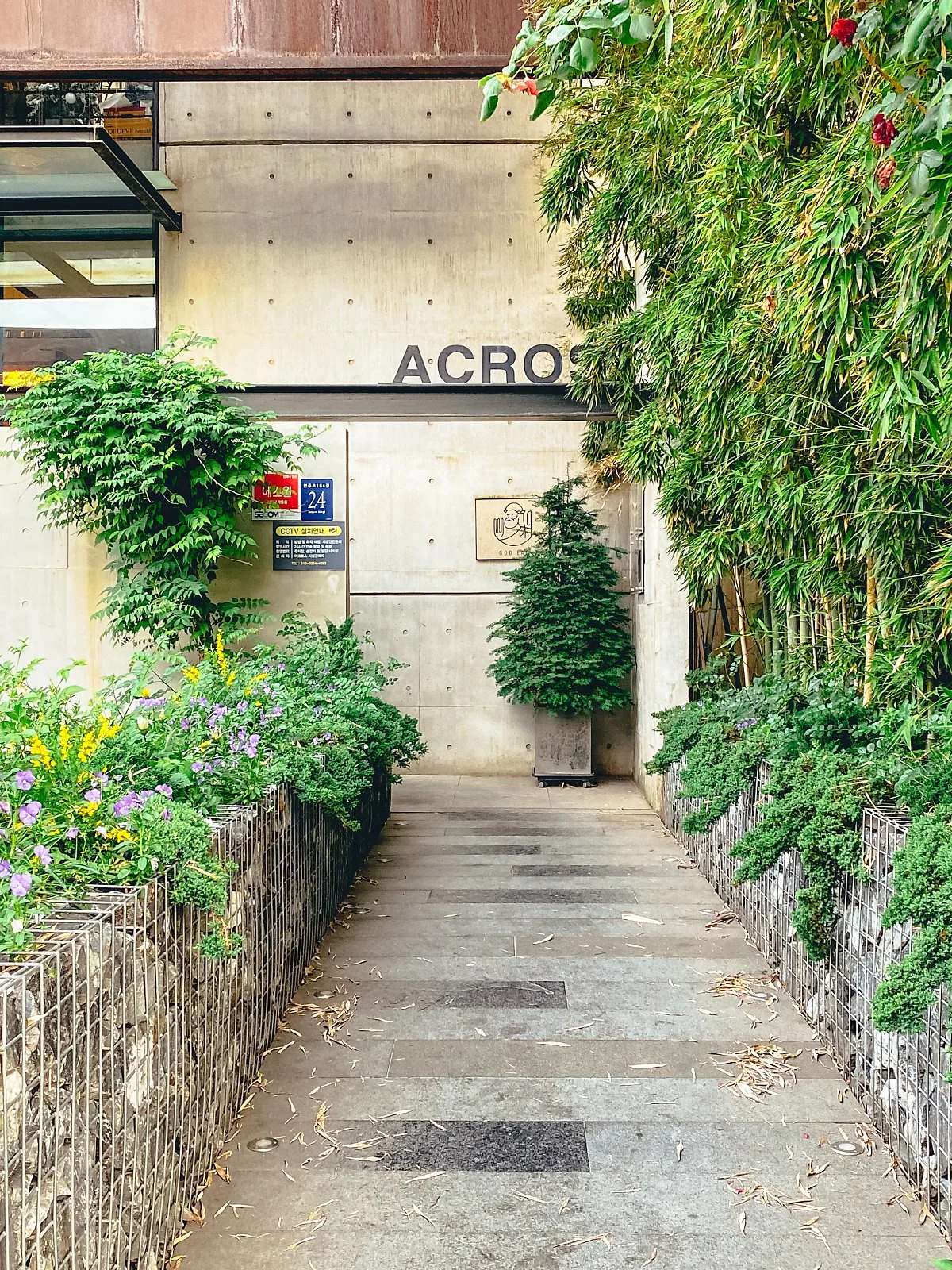 d_%EA%B0%93%EC%9E%87_%EB%8F%84%EC%82%B0%EA%B3%B5%EC%9B%90%EC%A0%90_2.jpg?type=w1200