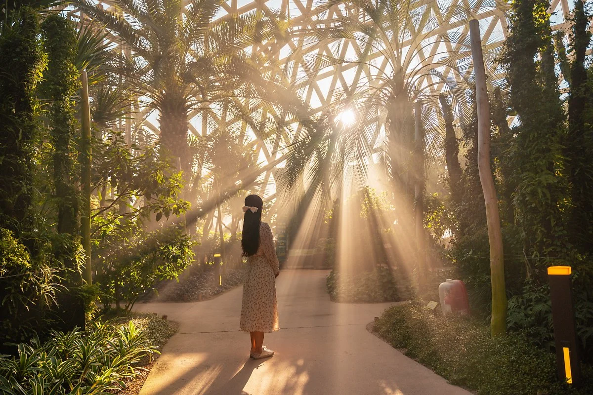 %EA%B2%BD%EB%82%A8_%EA%B1%B0%EC%A0%9C_%EC%8B%9D%EB%AC%BC%EC%9B%90.jpg?type=w1200