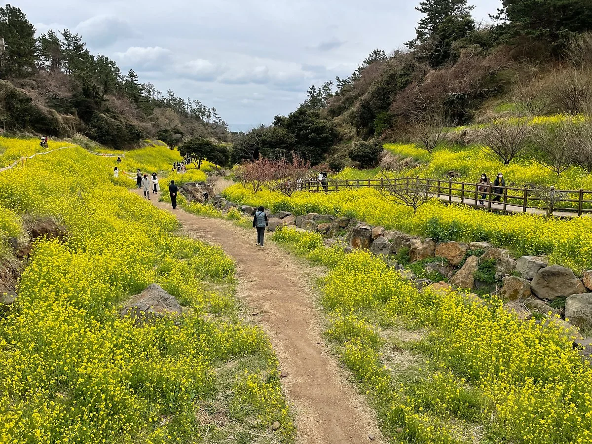 %EC%97%89%EB%8D%A9%EB%AC%BC%EA%B3%84%EA%B3%A1_%EC%9C%A0%EC%B1%84%EA%BD%83_%281%29.JPG?type=w1200