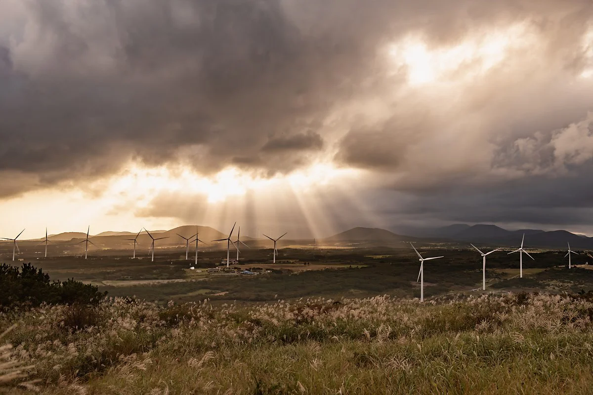 %EB%94%B0%EB%9D%BC%EB%B9%84%EC%98%A4%EB%A6%84_%286%29.jpg?type=w1200